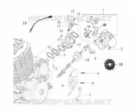 MOTOR / INSPUITING / VERSNELLINGSPEDAAL