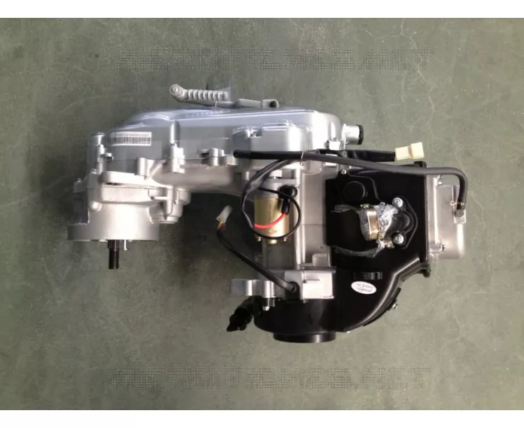 MOTOR / CARBURATEUR