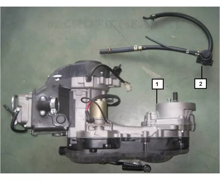 MOTOR