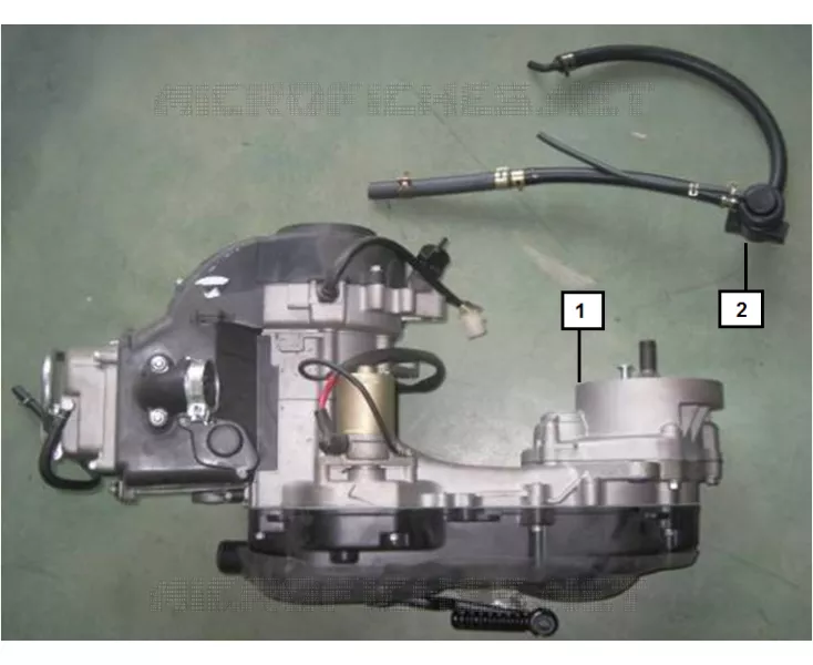 MOTOR