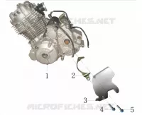 MOTOR / VOORTANDWIELDEKSEL