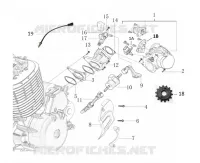 MOTOR / INSPUITING / VERSNELLINGSPEDAAL