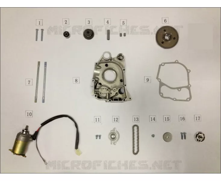 STARTMOTOR / OLIEPOMP