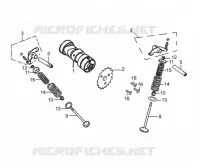NOKKENAS / KLEPPEN