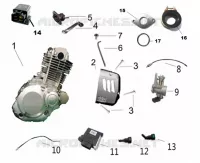 MOTOR ONDERDELEN