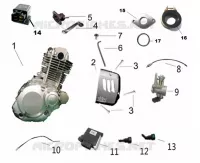 MOTOR ONDERDELEN